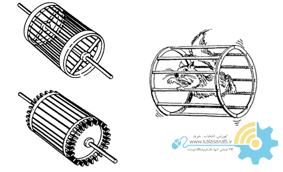 Squirrel cage rotor