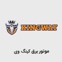 موتور برق کینگ وی