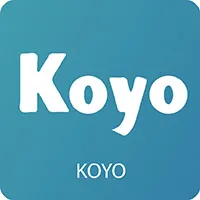 بلبرینگ کف گرد KOYO 