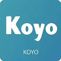 بلبرینگ خود تنظیم KOYO 