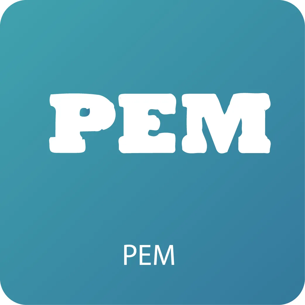 الکتروموتور_pem