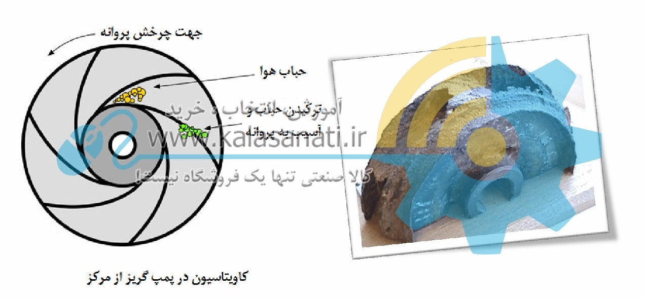 پروانه