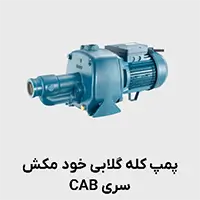 پمپ کله گلابی خودمکش پنتاکس CAB