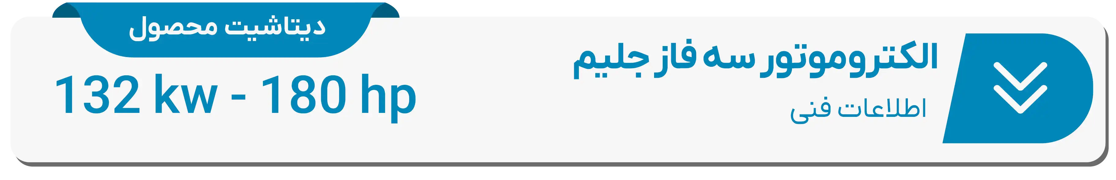  دیتاشیت فنی الکتروموتور جلیم 132(kw)-180(hp)
