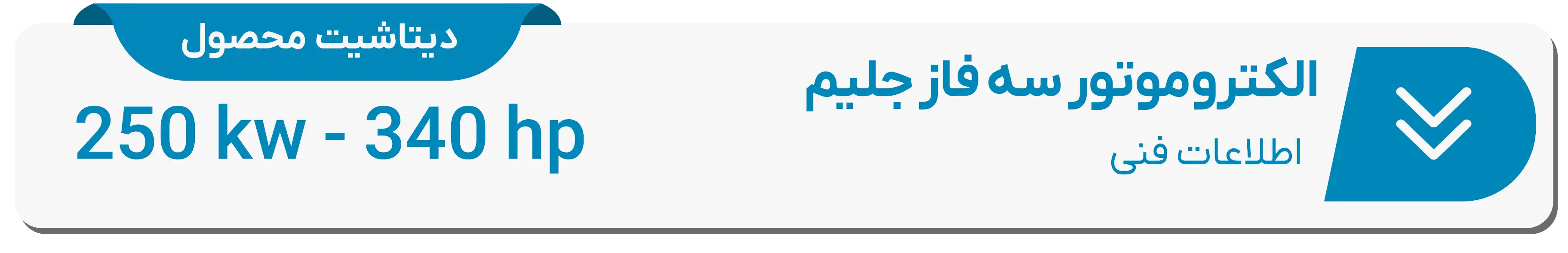  دیتاشیت فنی الکتروموتور جلیم 250(kw)-340(hp)