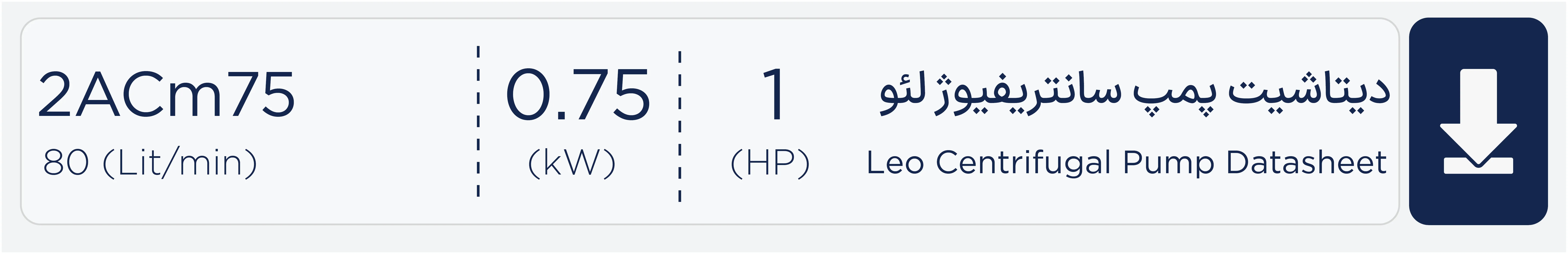 دیتاشیت پمپ بشقابی مدل 2 ACm75