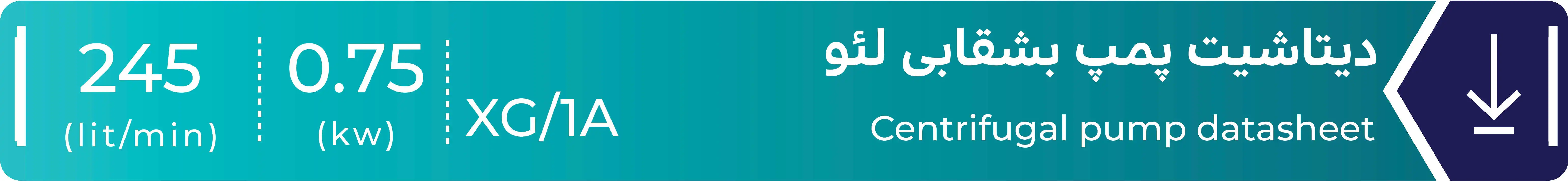 دیتاشیت پمپ بشقابی مدل XGm_1A