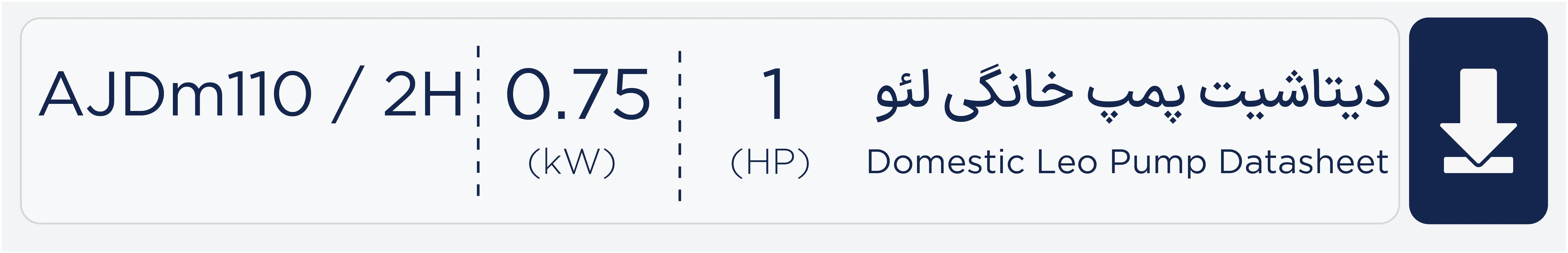 دیتاشیت پمپ جتی دو لول مدل Ajdm110/2h