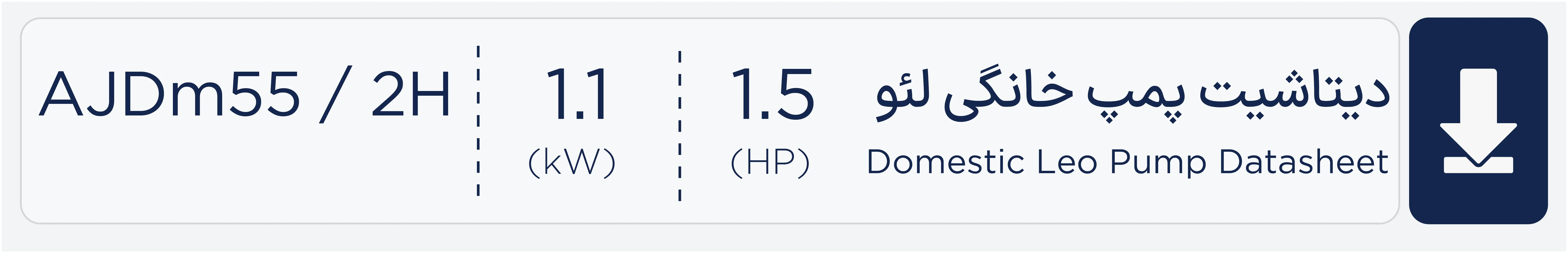 دیتاشیت پمپ جتی دو لول مدل Ajdm55/2h