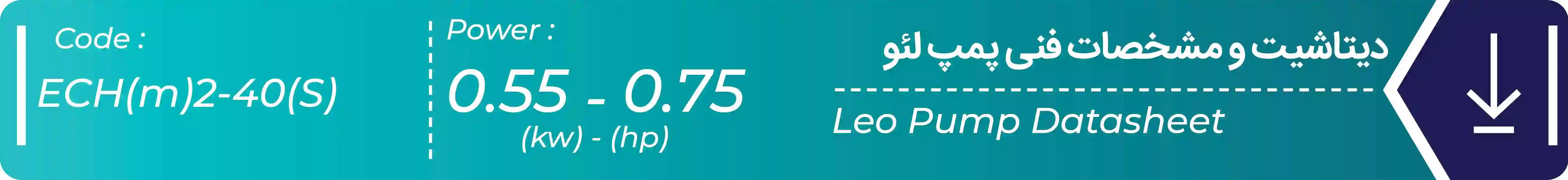 دیتاشیت پمپ افقی طبقاتی استیل ECH(m)2-40(S) لئو 