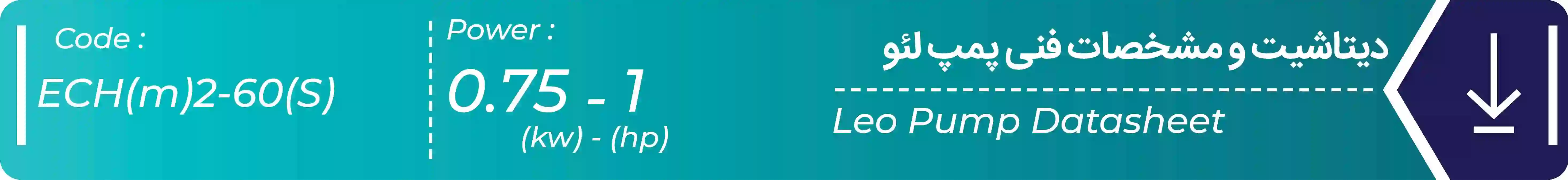دیتاشیت پمپ افقی طبقاتی استیل ECH(m)2-60(S) لئو 
