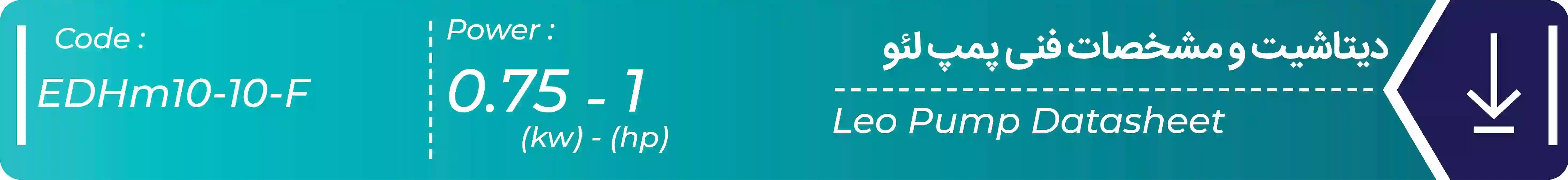 دیتاشیت پمپ افقی طبقاتی استیل EDHm10-10-F لئو 