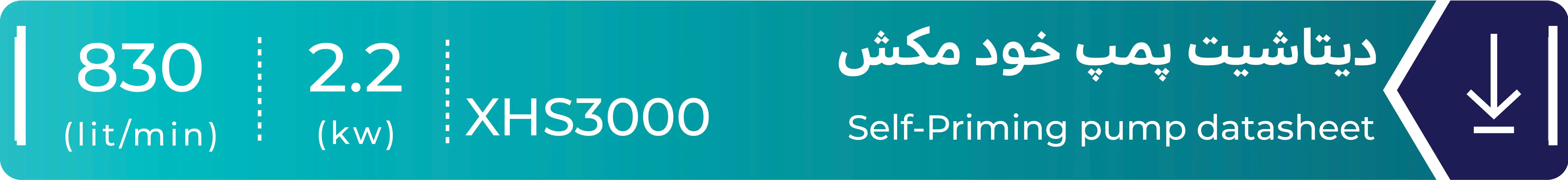 دیتاشیت پمپ خودمکش لئو مدلXHS3000