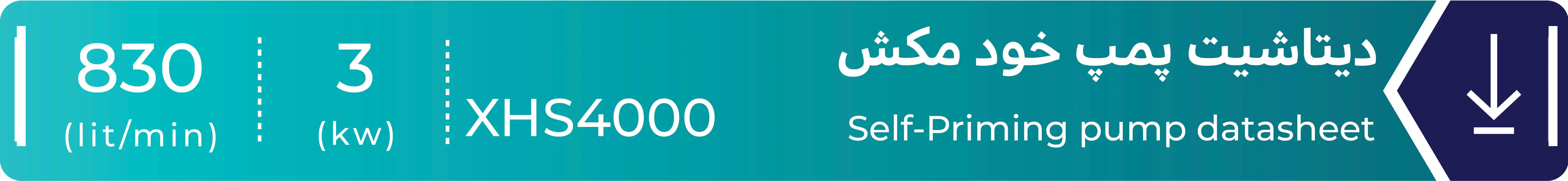 دیتاشیت پمپ خودمکش لئو مدل XHS4000