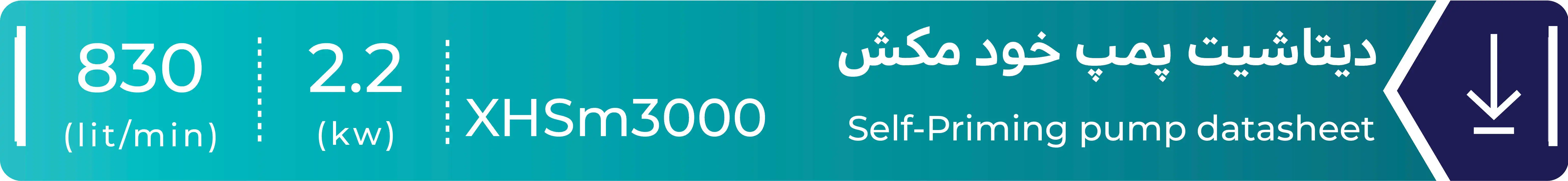 دیتاشیت پمپ خودمکش لئو مدل XHSm3000