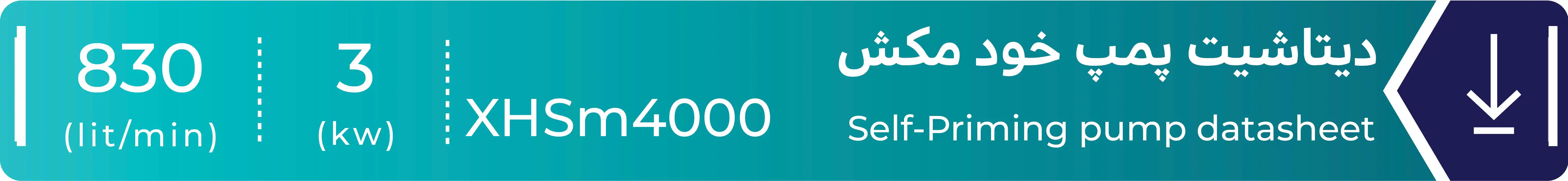 دیتاشیت پمپ خودمکش لئو مدل XHSm4000