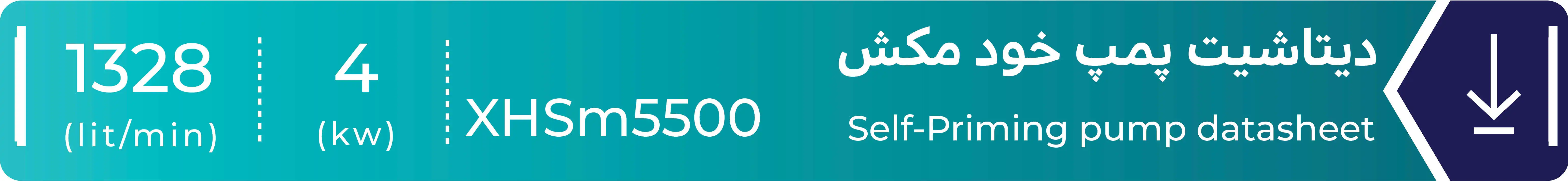 دیتاشیت پمپ خودمکش لئو مدل XHSm5500
