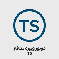 موتور ویبره TS