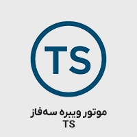 موتور ویبره TS