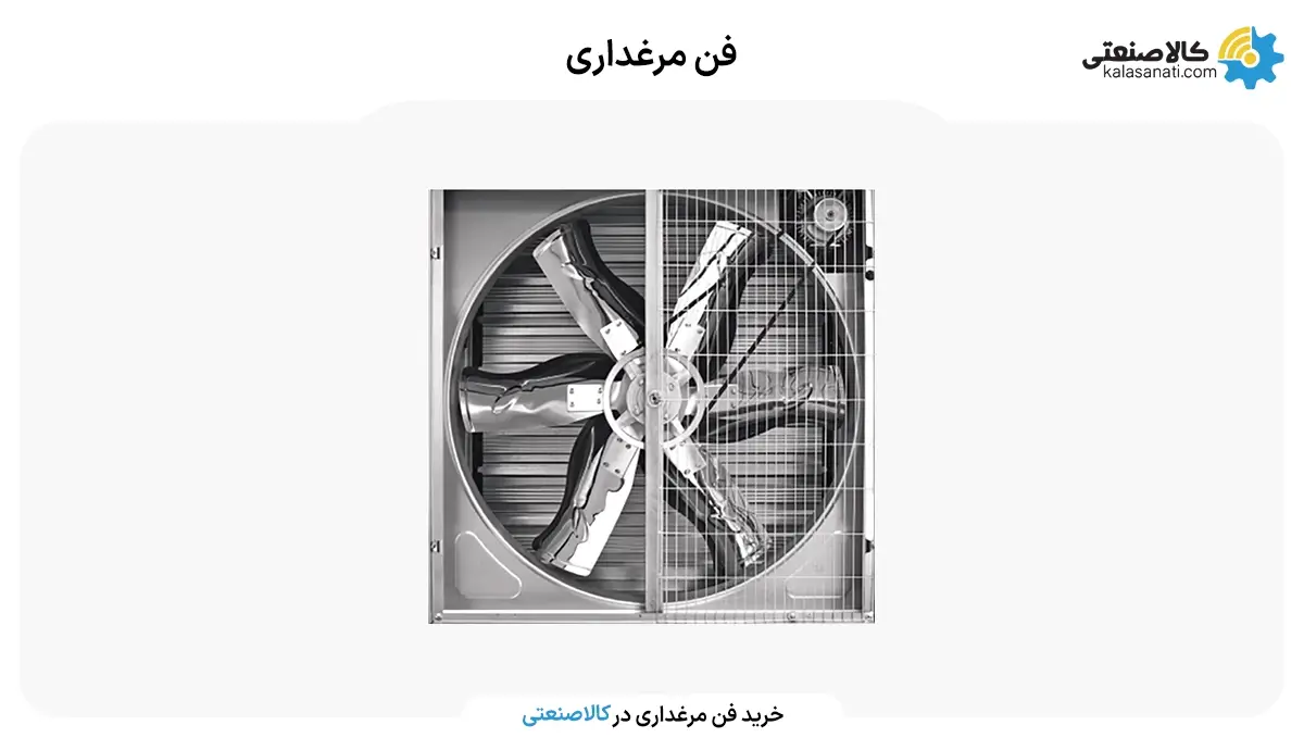 فن مرغداری