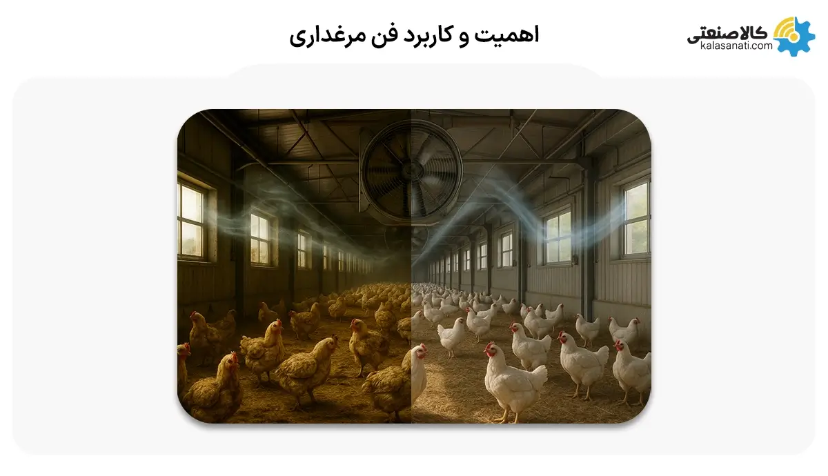 اهمیت و کاربرد فن مرغداری