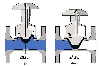 ولو خطی