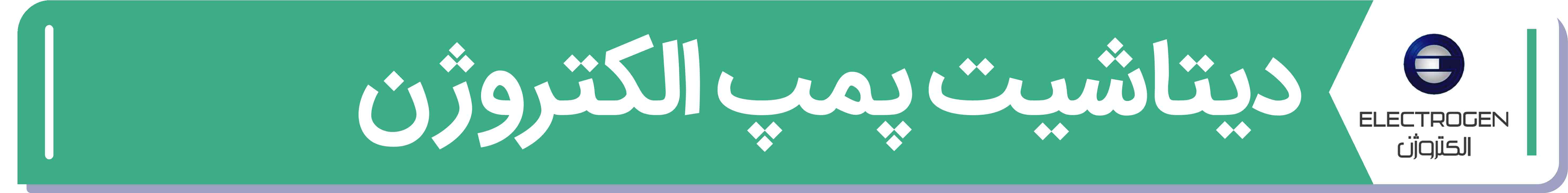 دیتا شیت و مشخصات فنی پمپ الکتروژن