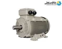 الکتروموتور موتوژن سه فاز 18.5 کیلووات 25 اسب چدنی