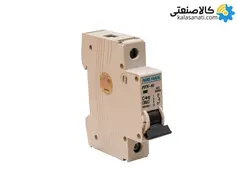 کلید مینیاتوری تک پل 40 آمپر پارس فانال تیپ PFN-61/C