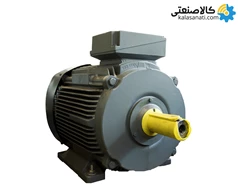 الکتروموتور VEM سه فاز 22 کیلووات 30 اسب چدنی