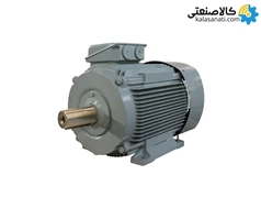 الکتروموتور VEM سه فاز 45 کیلووات 60 اسب چدنی
