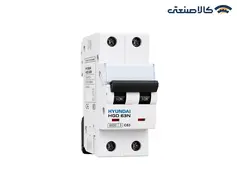 کلید مینیاتوری دو پل 63 آمپر هیوندای تیپ HGD 63N/C