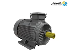 الکتروموتور ایده آل سه فاز 40 اسب 30 کیلووات پوسته چدن