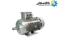 الکتروموتور سه فاز 22 کیلووات ضد انفجار رائل