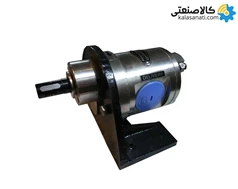 پمپ دنده ای 3/8 اینچ روتوفلوید استیل 316 مدل FTSS40